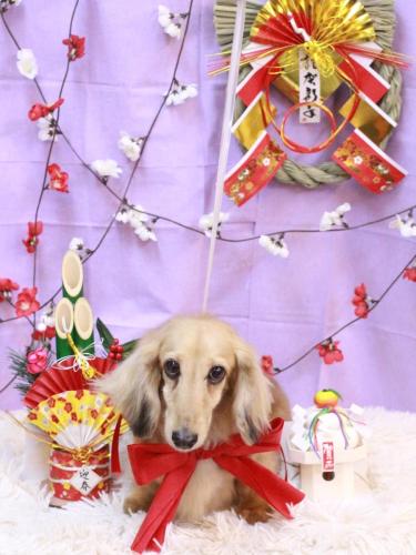 20230113そらくん